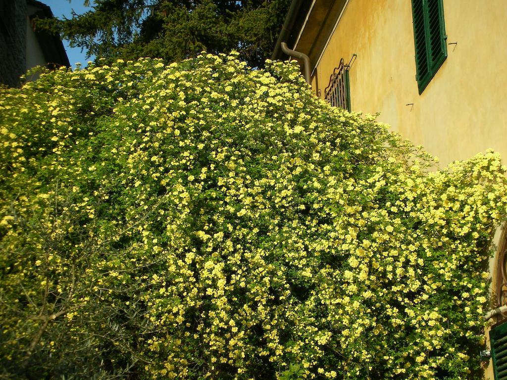 Locanda Giolica Prato  Exterior photo